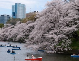 COLORES DE JAPON,  KYOTO E ARASHIYAMA (con Noche y Visita en Hiroshima)